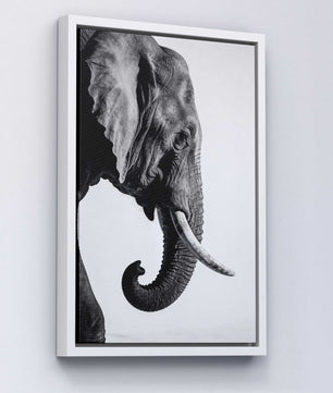 Gentle Power – Elephant Portrait