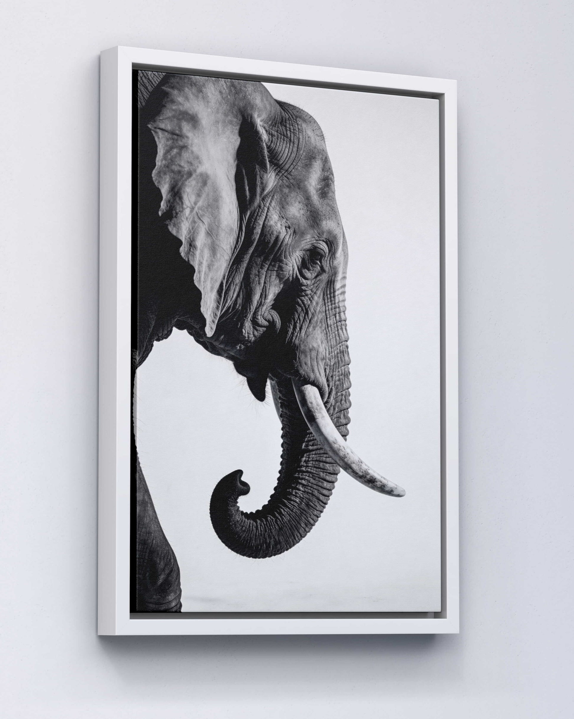 Gentle Power – Elephant Portrait