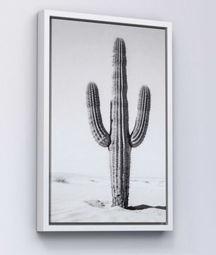 Silent Lines – Cactus