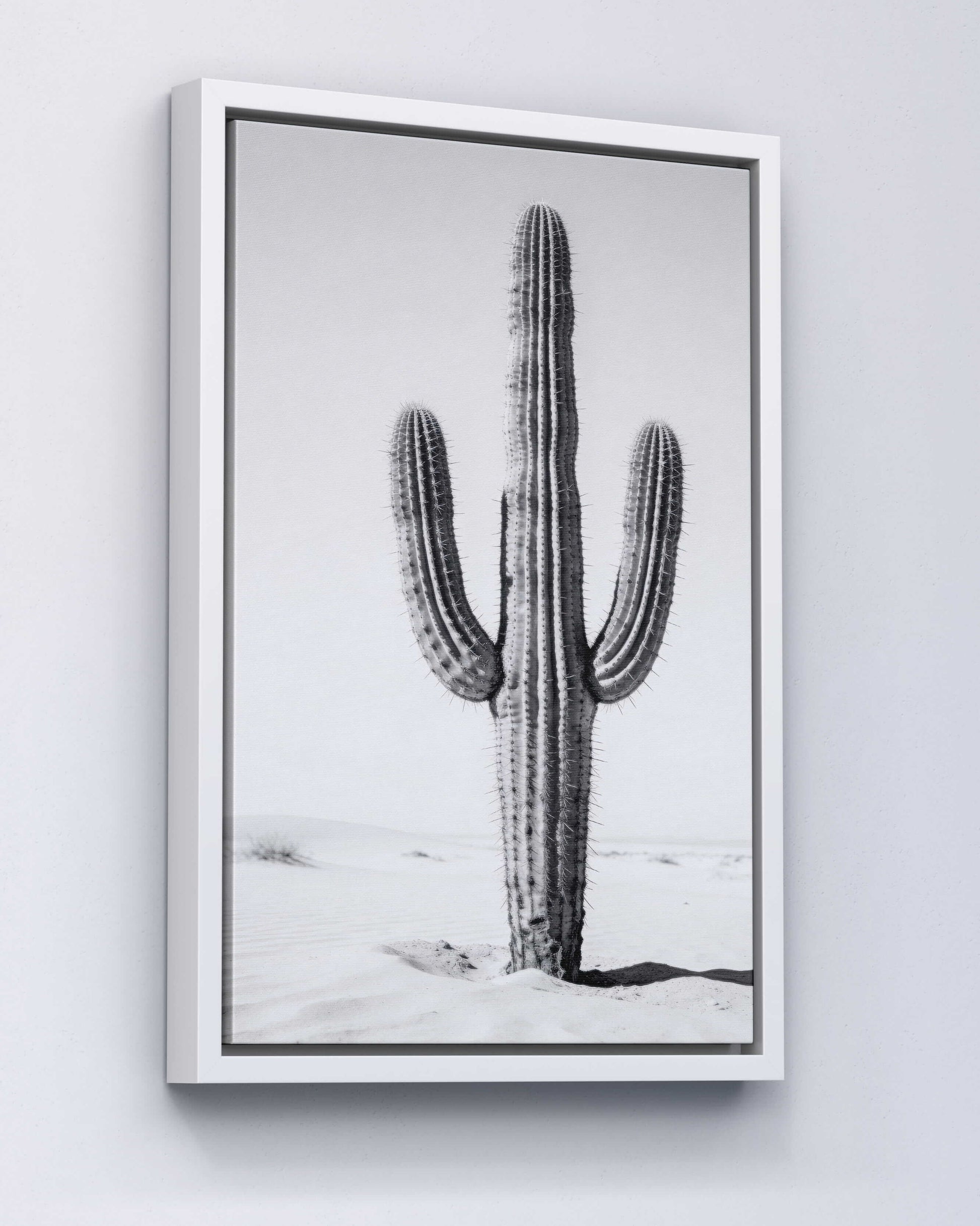 Silent Lines – Cactus