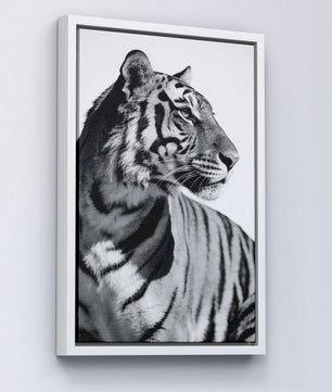 Focused Power – Tiger Form