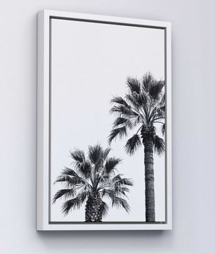 Palm Silence – Minimal Nature