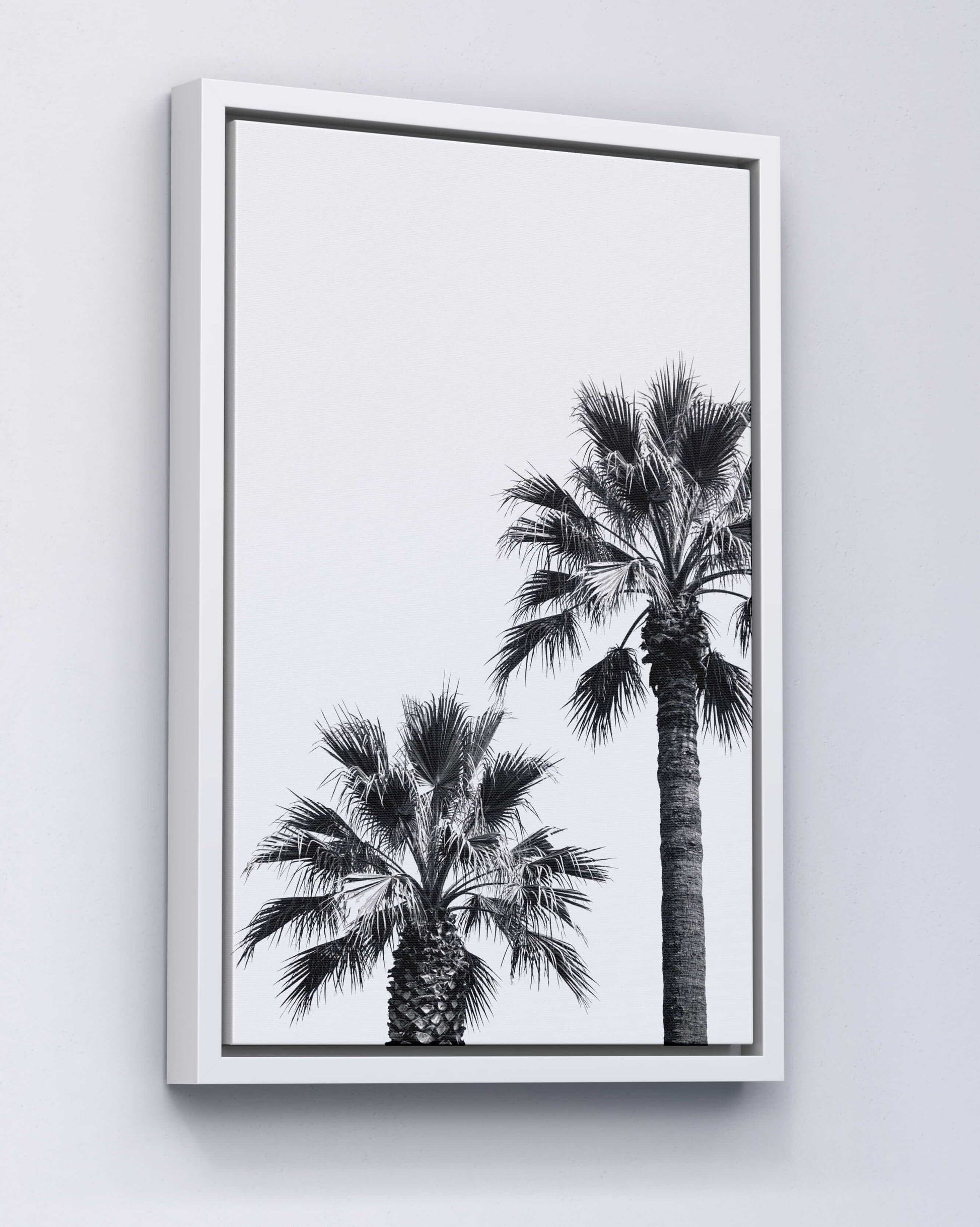 Palm Silence – Minimal Nature