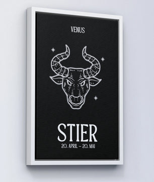 Stier - black&white