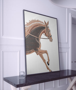 Paardensport elegantie