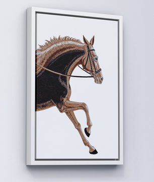 Paardensport elegantie