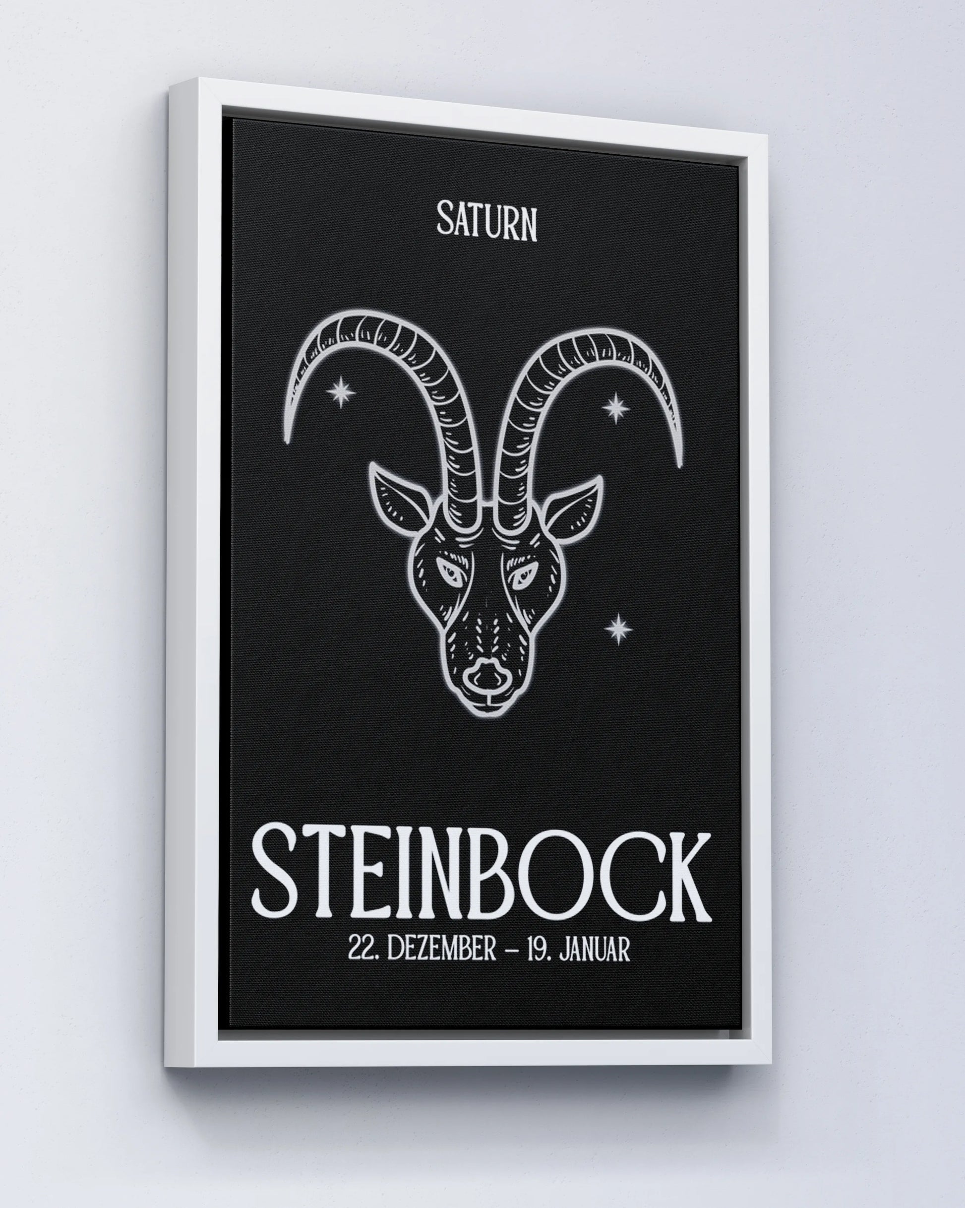 Steinbock - black&white