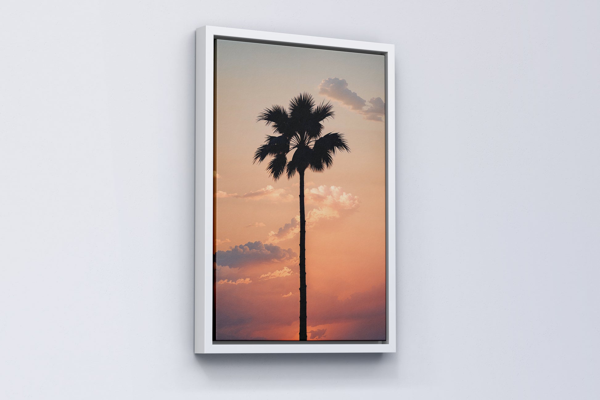 Lone Palm at Sunset