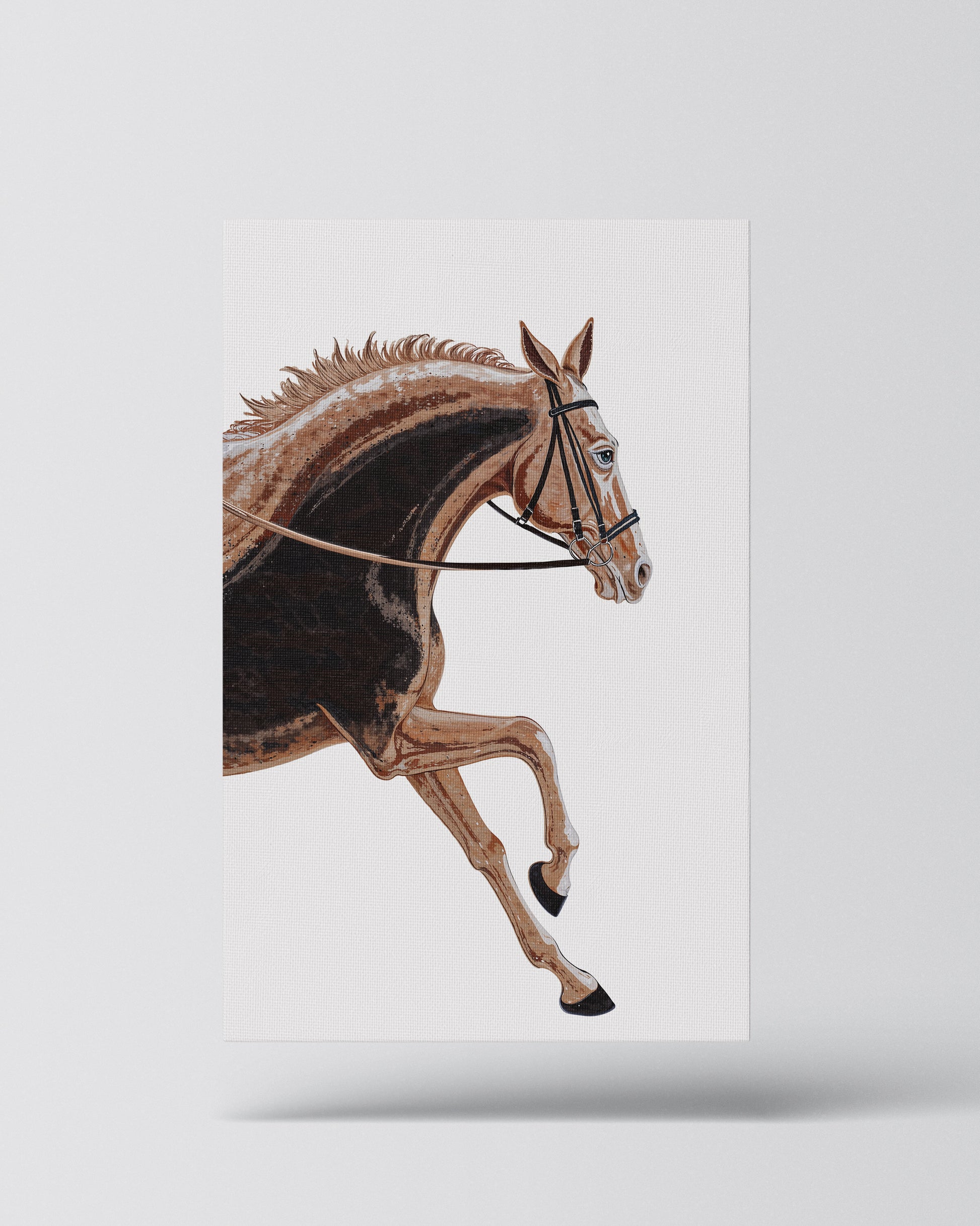 Equestrian Elegance