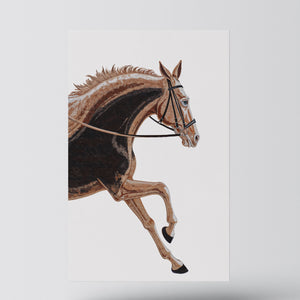 Equestrian Elegance