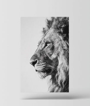 Silent Strength – Lion Portrait