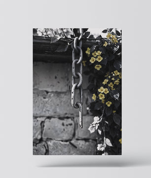 Un contraste de fuerza y ​​belleza