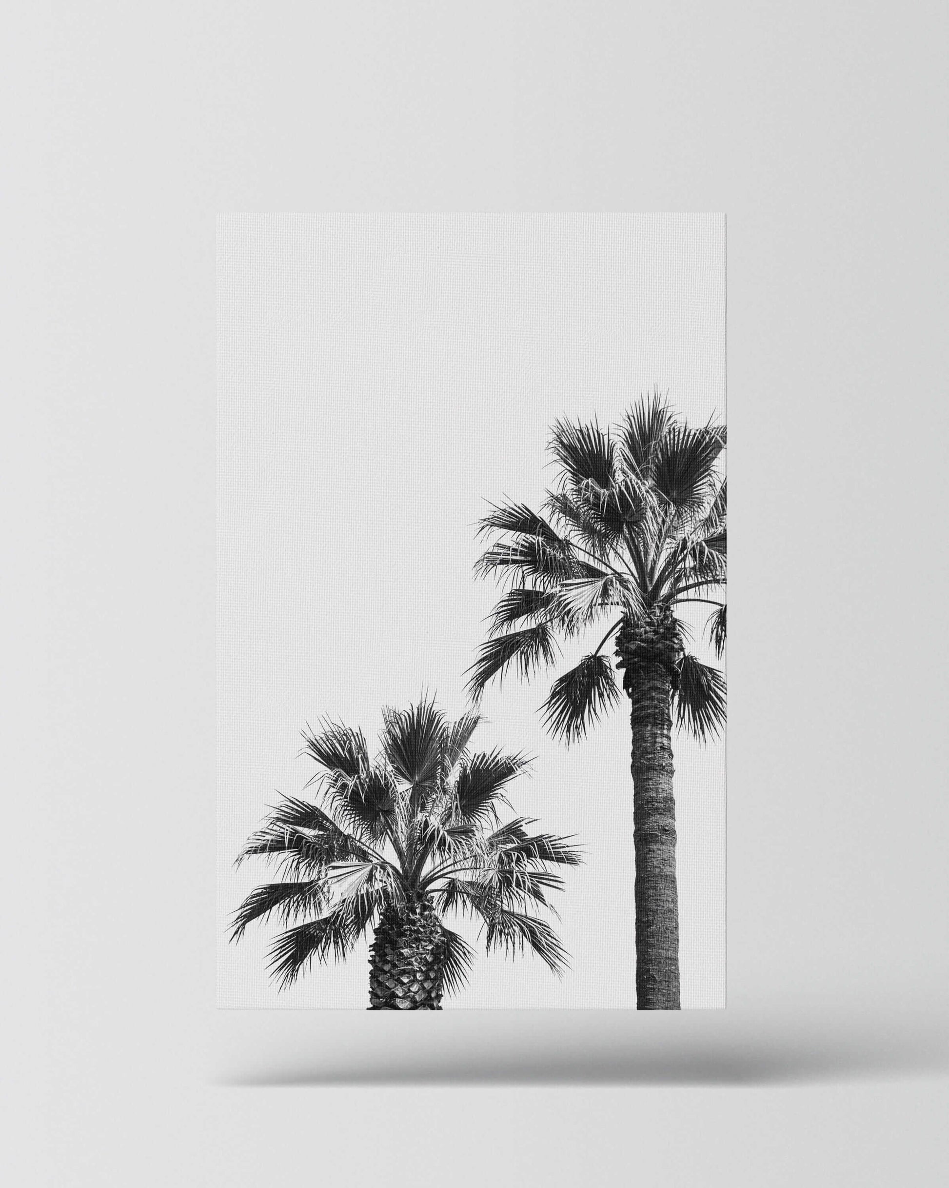 Palm Silence – Minimal Nature