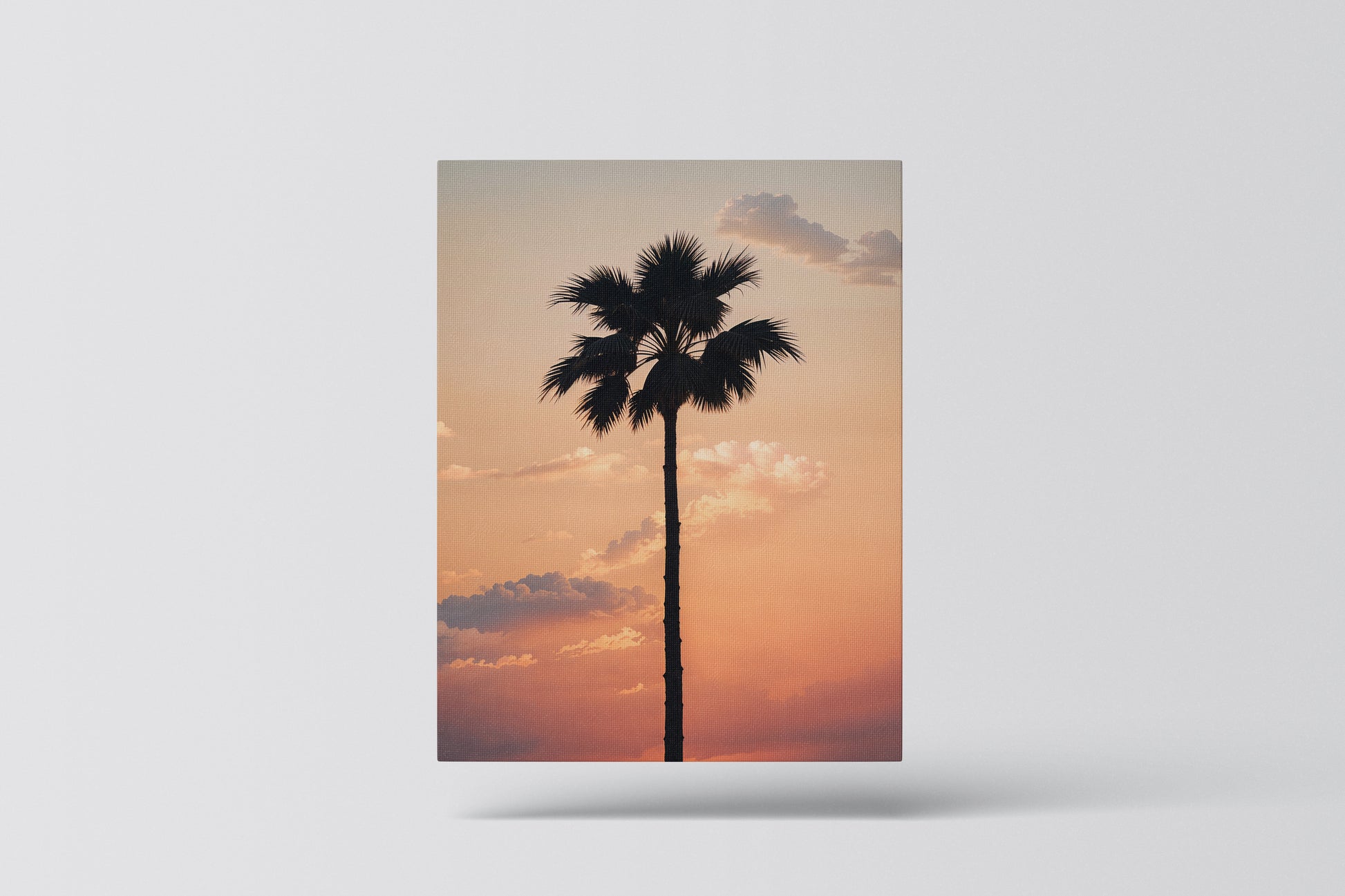 Lone Palm at Sunset