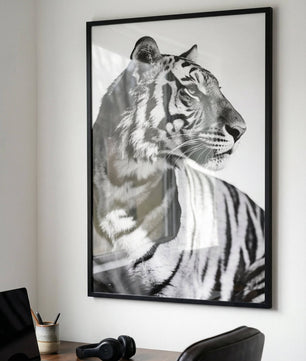 Focused Power – Tiger Form