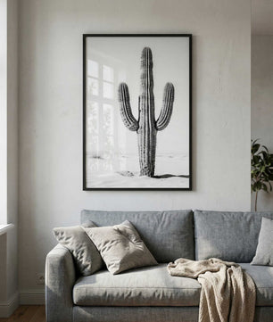 Silent Lines – Cactus