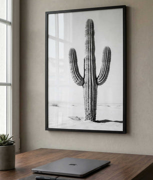 Silent Lines – Cactus