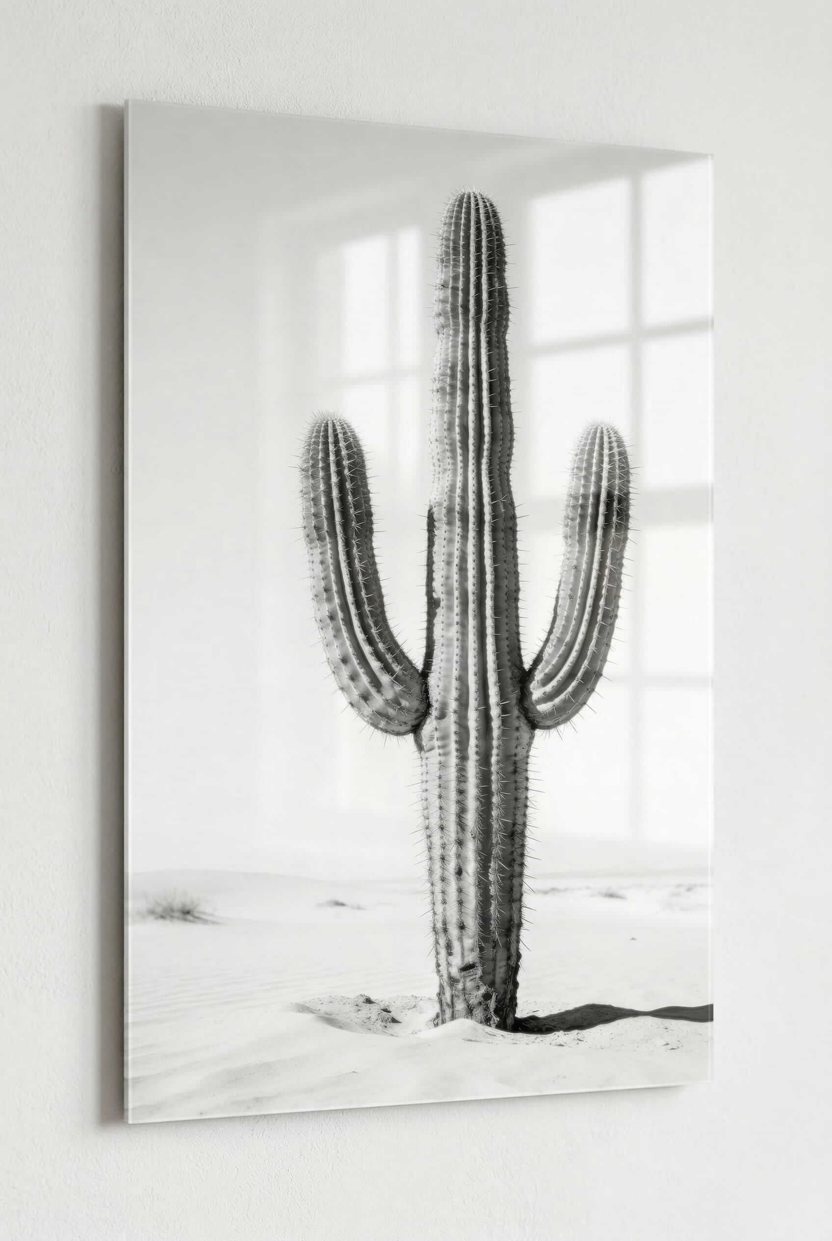 Silent Lines – Cactus
