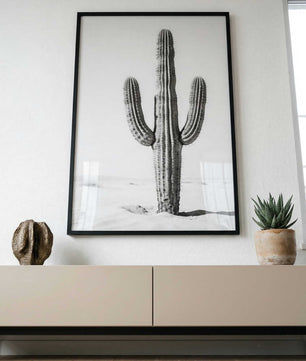 Silent Lines – Cactus