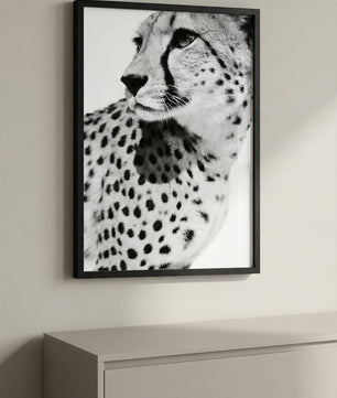 Gepard Porträt – Schwarz Weiß Fine Art