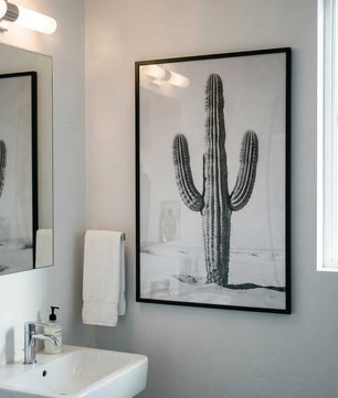 Silent Lines – Cactus