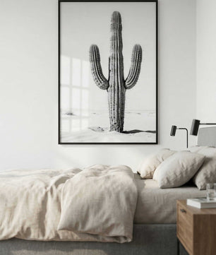 Silent Lines – Cactus