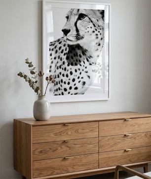 Gepard Porträt – Schwarz Weiß Fine Art