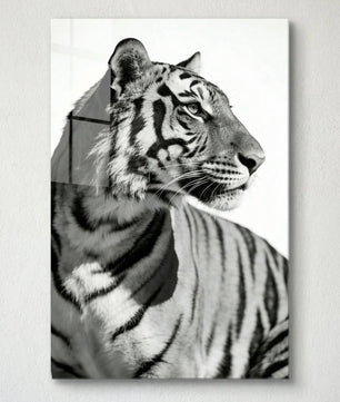 Focused Power – Tiger Form