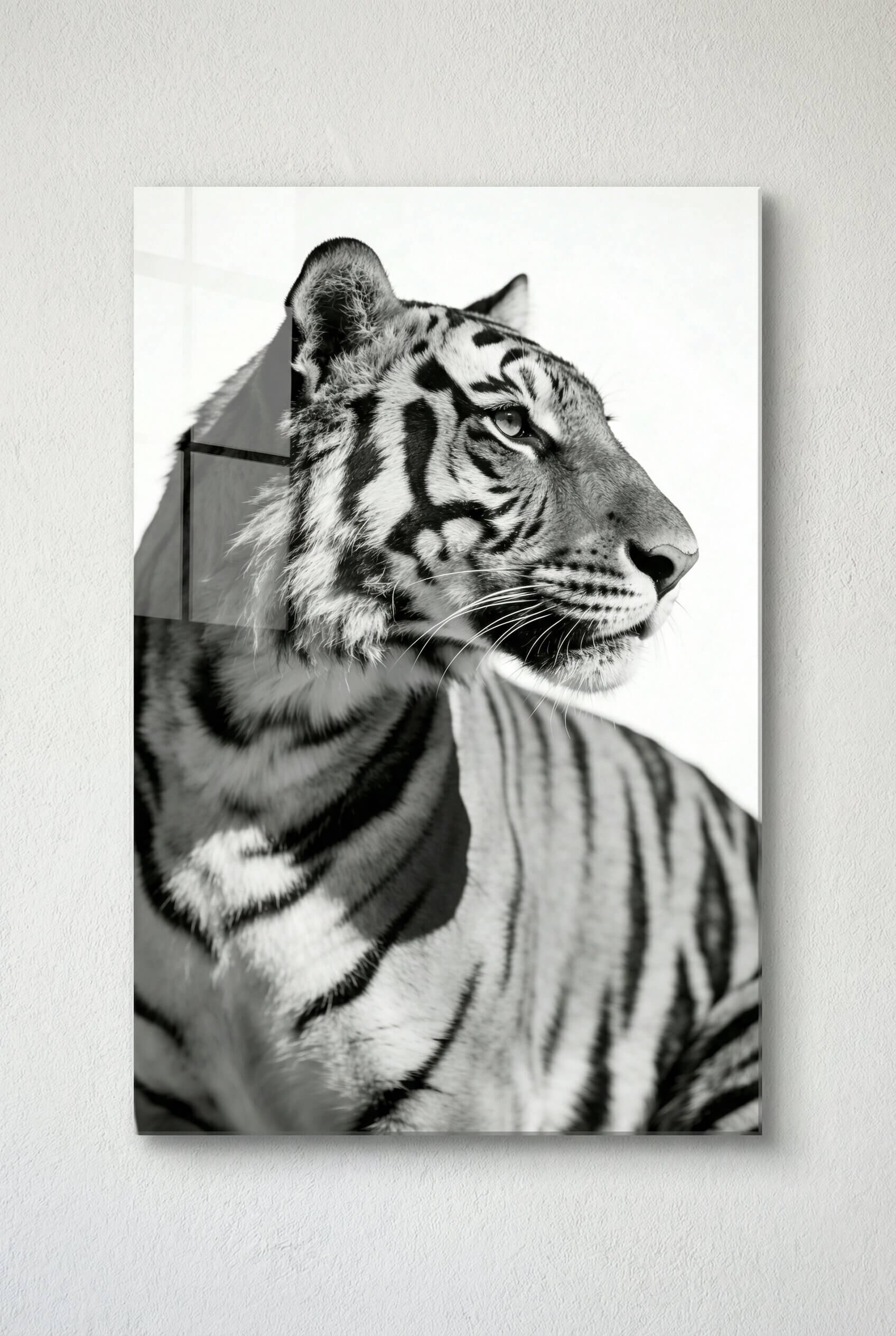 Focused Power – Tiger Form