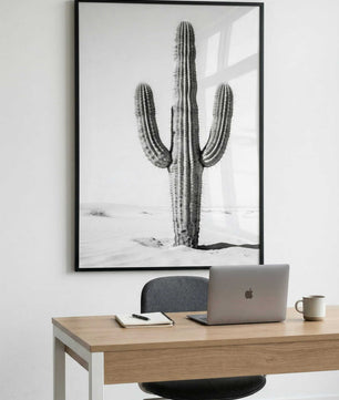 Silent Lines – Cactus