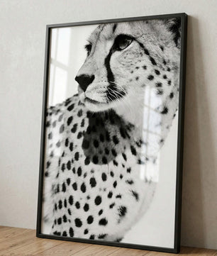 Gepard Porträt – Schwarz Weiß Fine Art