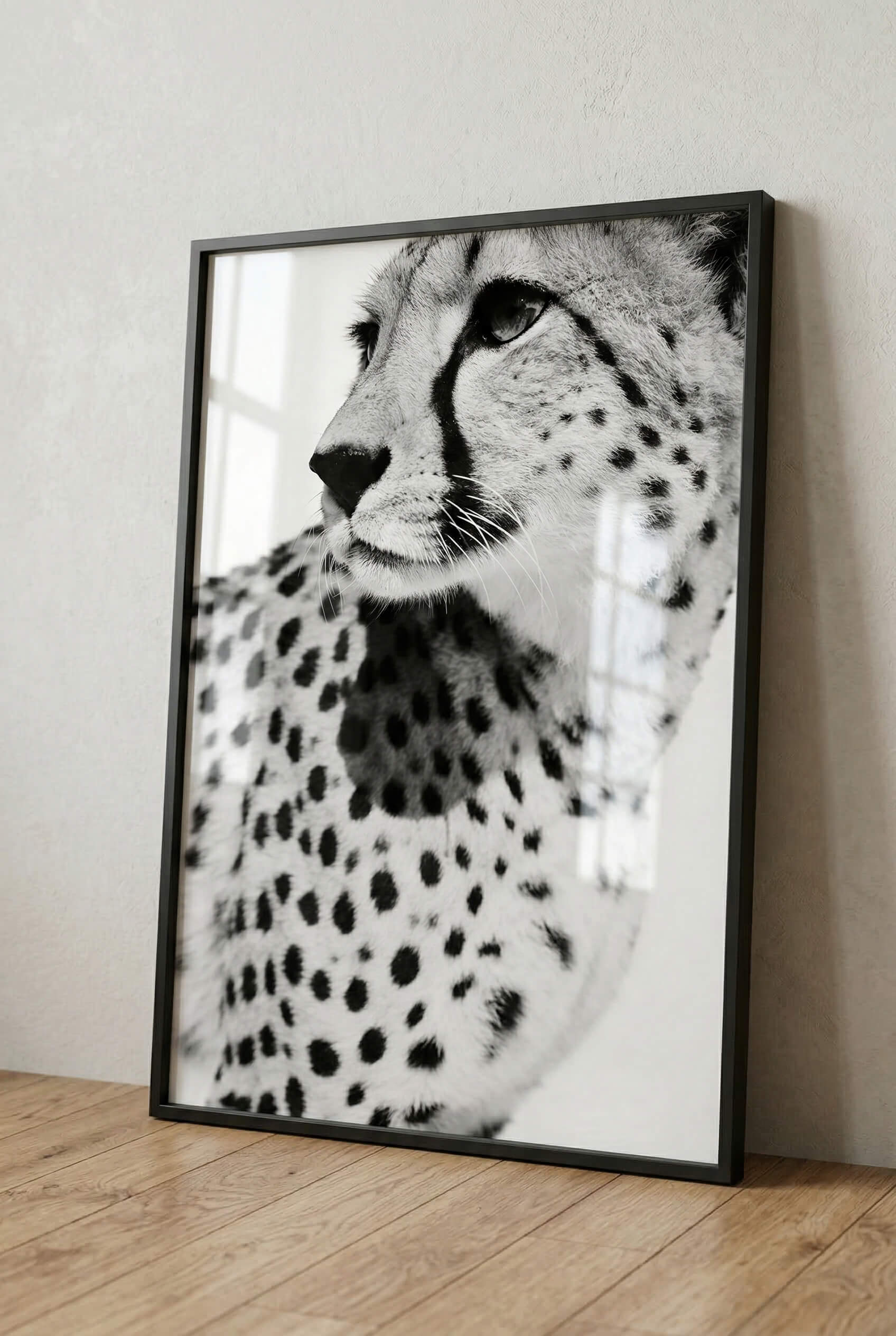 Gepard Porträt – Schwarz Weiß Fine Art