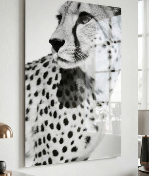 Gepard Porträt – Schwarz Weiß Fine Art