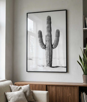 Silent Lines – Cactus