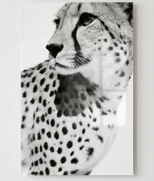 Gepard Porträt – Schwarz Weiß Fine Art