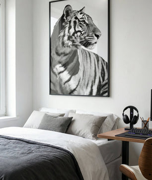 Focused Power – Tiger Form