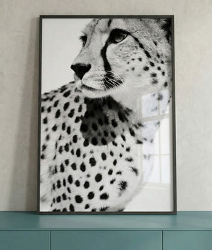 Gepard Porträt – Schwarz Weiß Fine Art