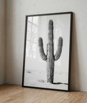 Silent Lines – Cactus