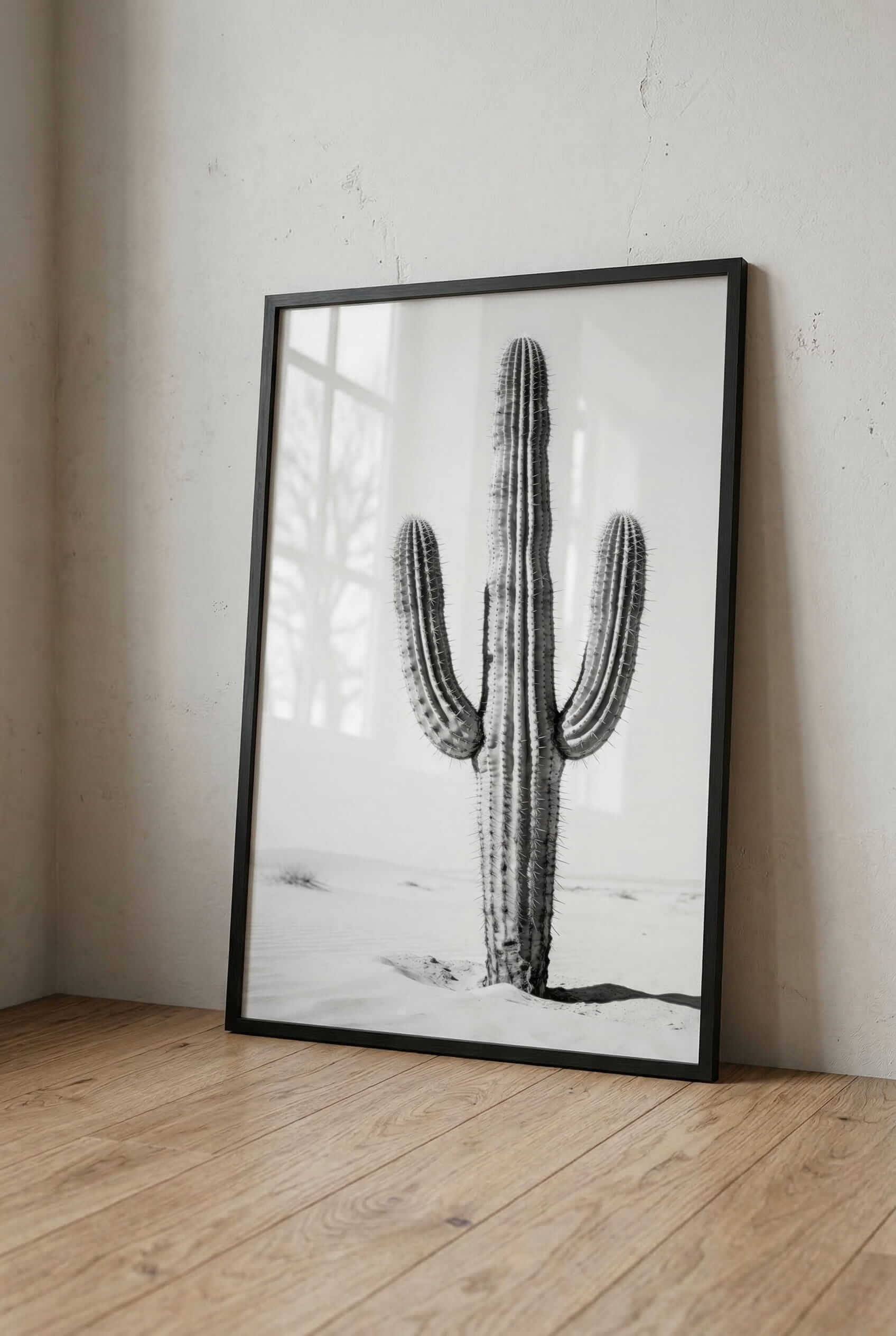 Silent Lines – Cactus