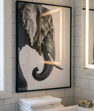 Gentle Power – Elephant Portrait