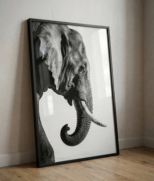 Gentle Power – Elephant Portrait