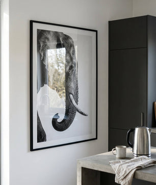 Gentle Power – Elephant Portrait