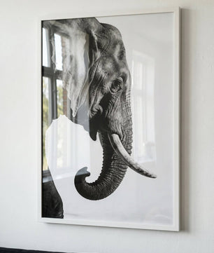 Gentle Power – Elephant Portrait