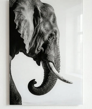 Gentle Power – Elephant Portrait