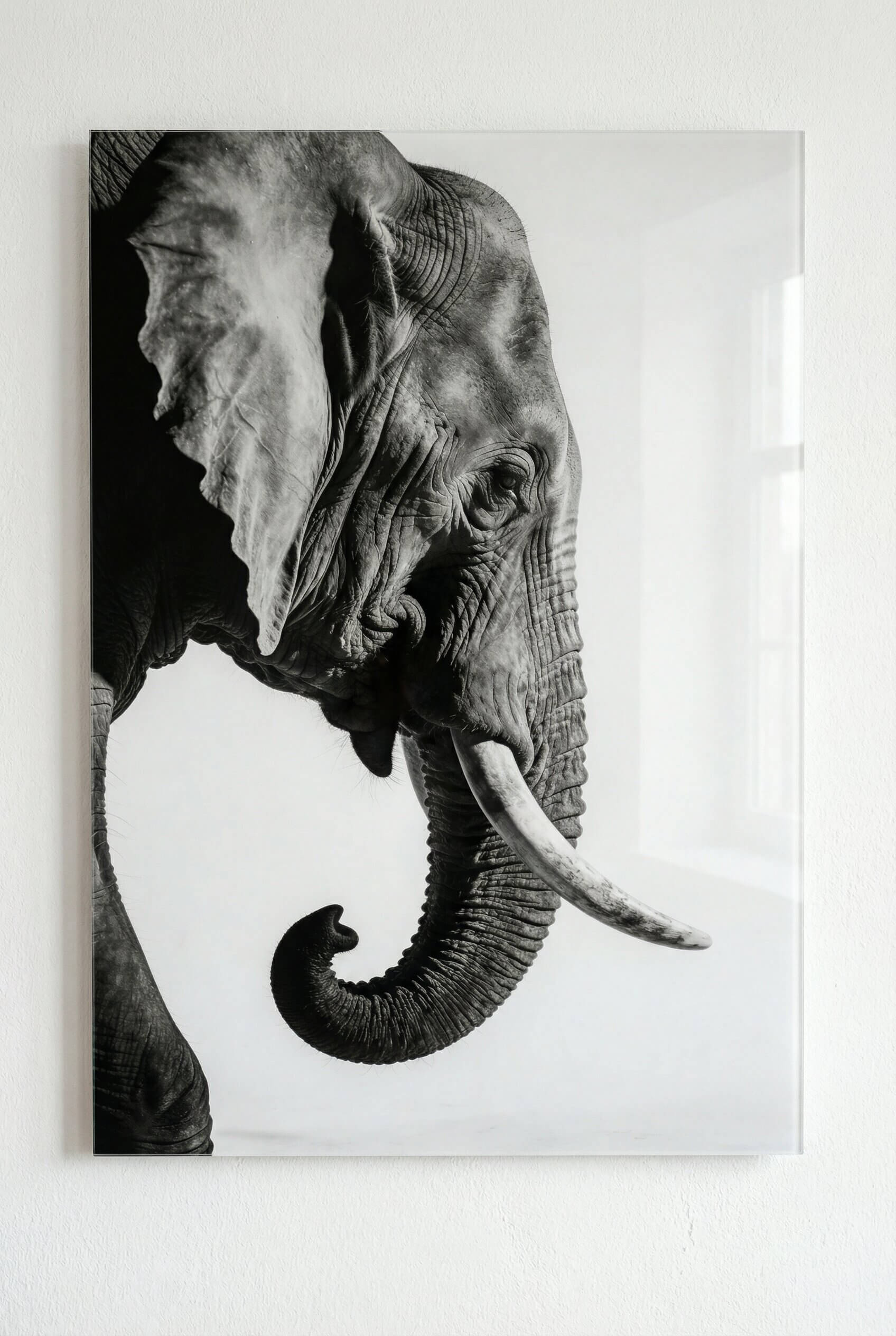 Gentle Power – Elephant Portrait