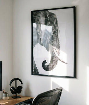 Gentle Power – Elephant Portrait