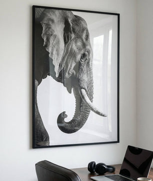 Gentle Power – Elephant Portrait