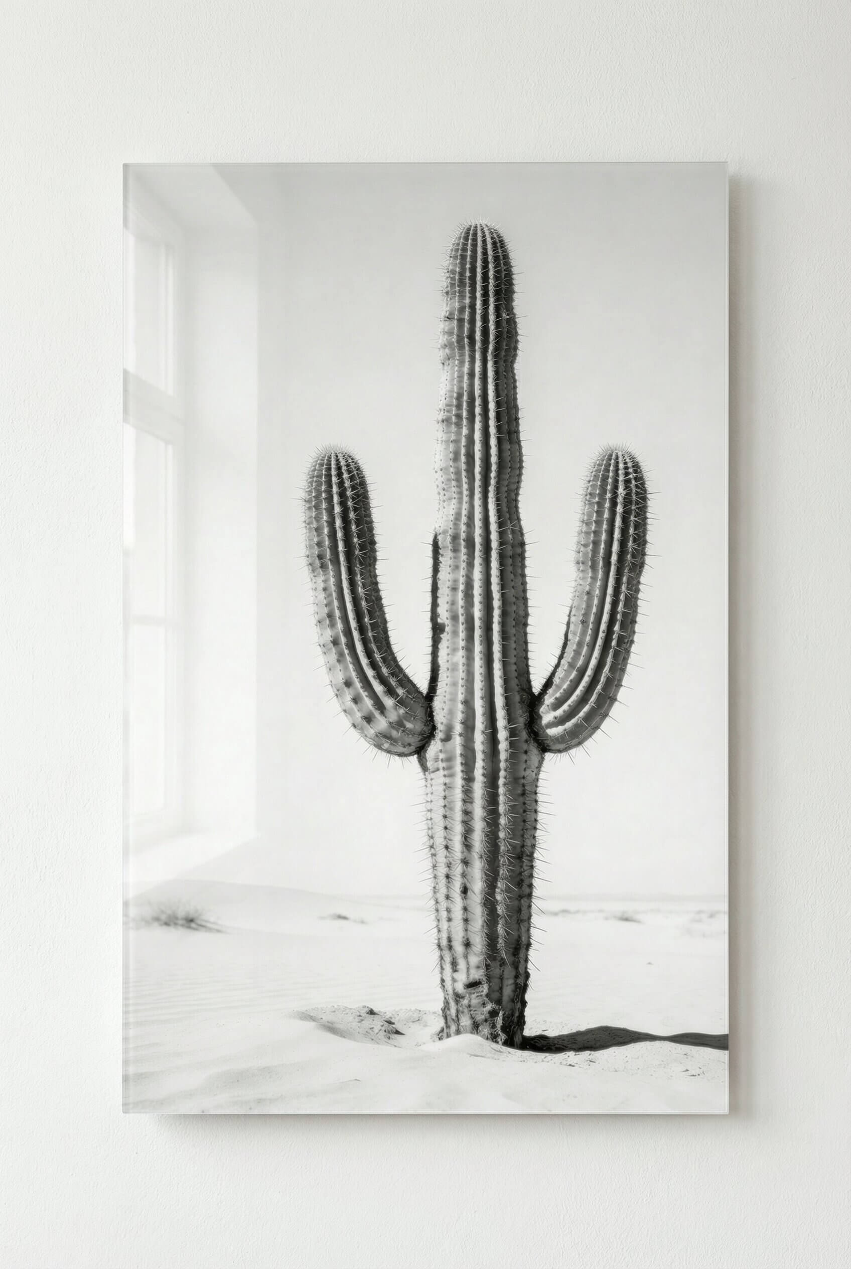 Silent Lines – Cactus