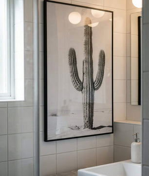 Silent Lines – Cactus