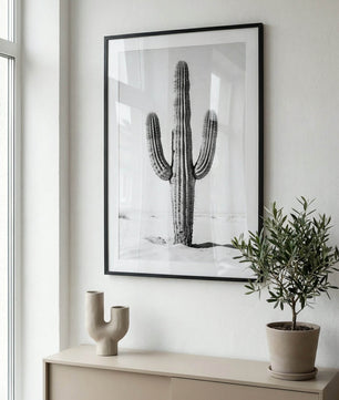 Silent Lines – Cactus